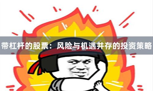 带杠杆的股票：风险与机遇并存的投资策略